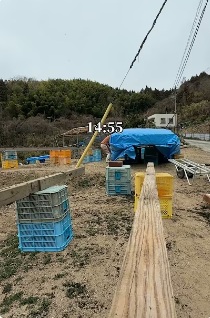 hijiki fisherman sakaeru