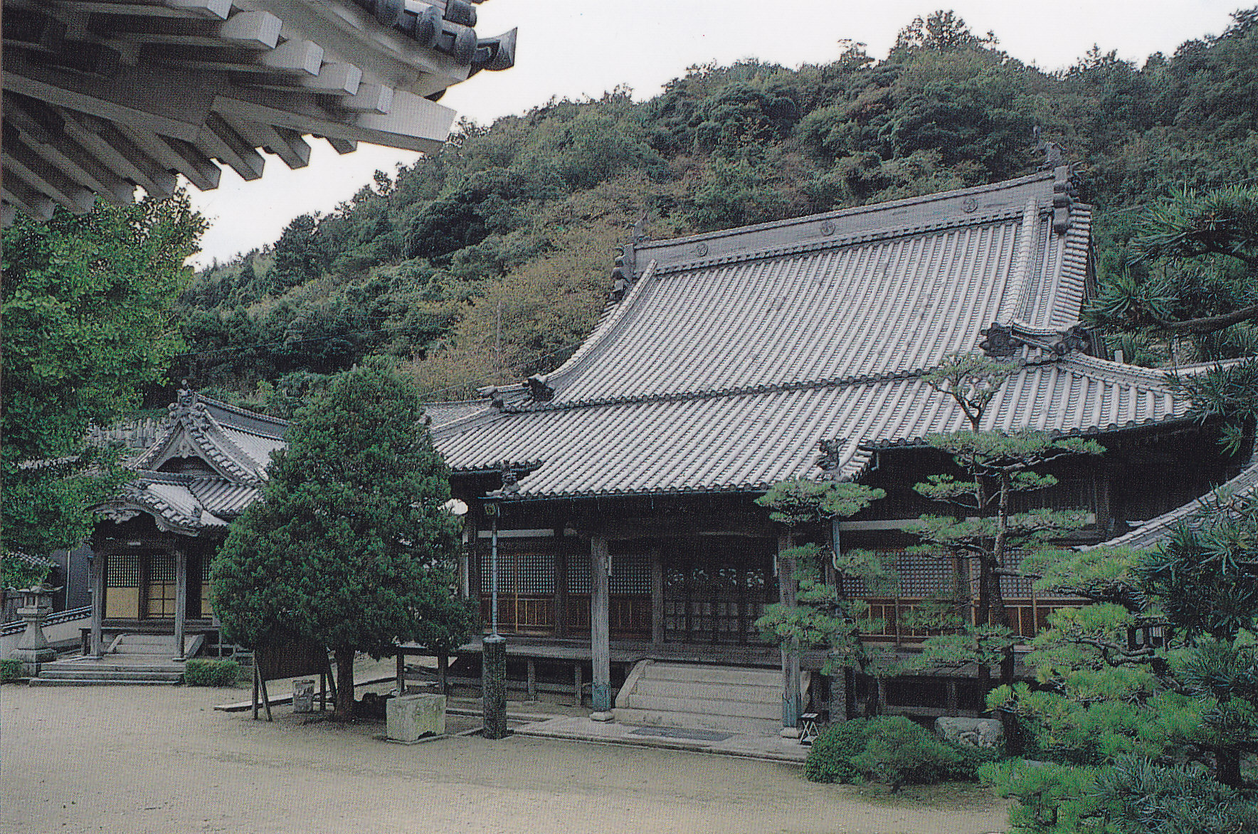 海龍山泊清寺　本堂