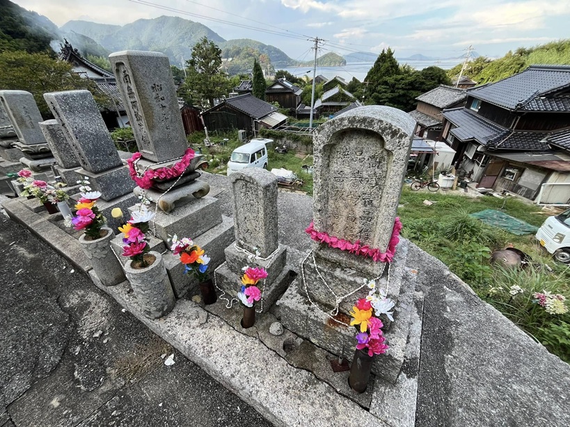 visitors from Hawaii