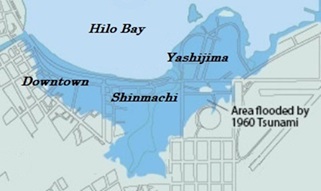 Hilo 新町　椰子町